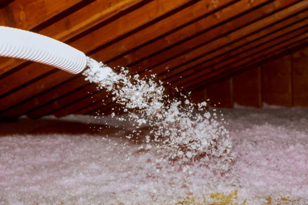 Best Insulation for New Construction  in Lewisburg, WV