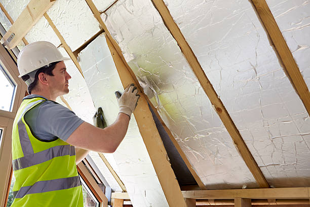 Best Attic Insulation Near Me  in Lewisburg, WV
